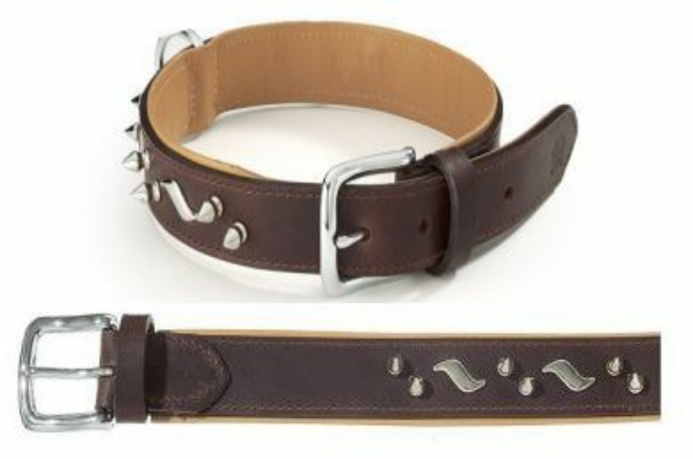 Picture of Camon Colorado Collar with Studs 20x480 mm