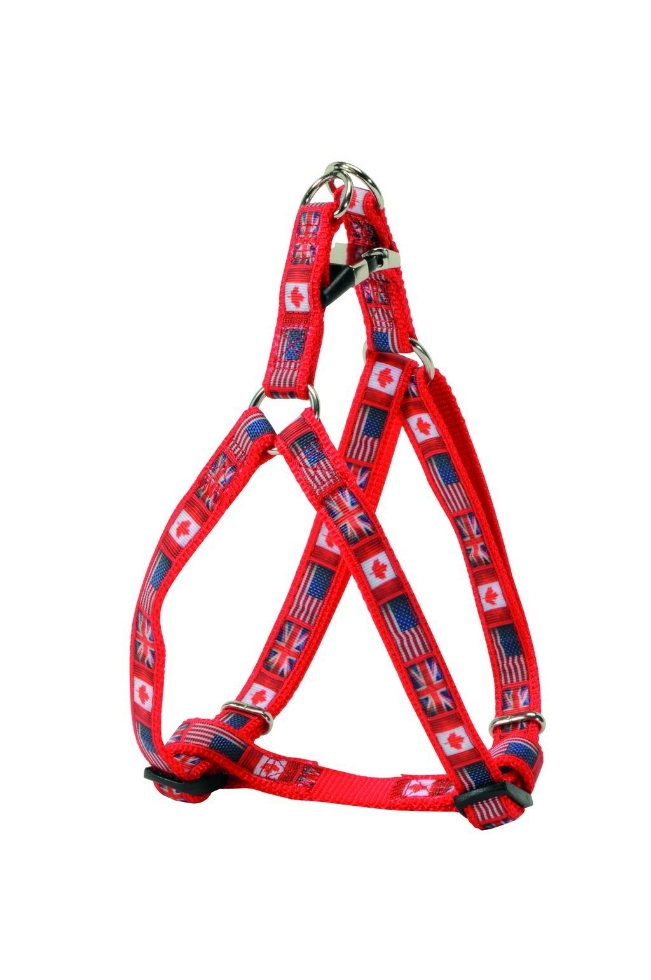 Picture of Camon Adjustable Harness Onetouch Flag 25 Mm Red