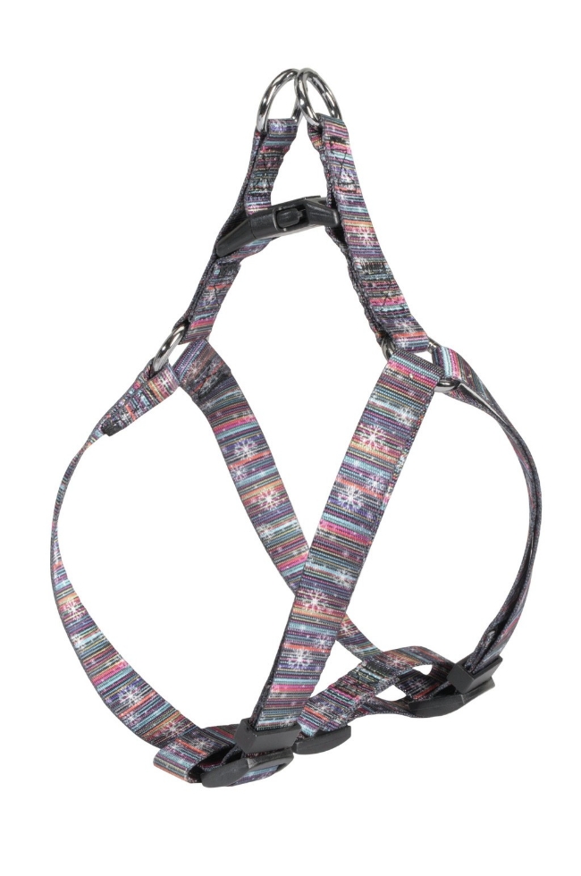 Picture of Camon-Multicolor-Collar-1-0X23-32Cm-M