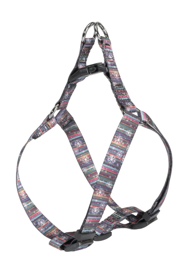 Picture of Camon-Multicolor-Harness-1-0X30-40Cm-Xs